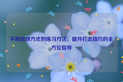 不同击球方式的练习方法，提升打击技巧的全方位指导